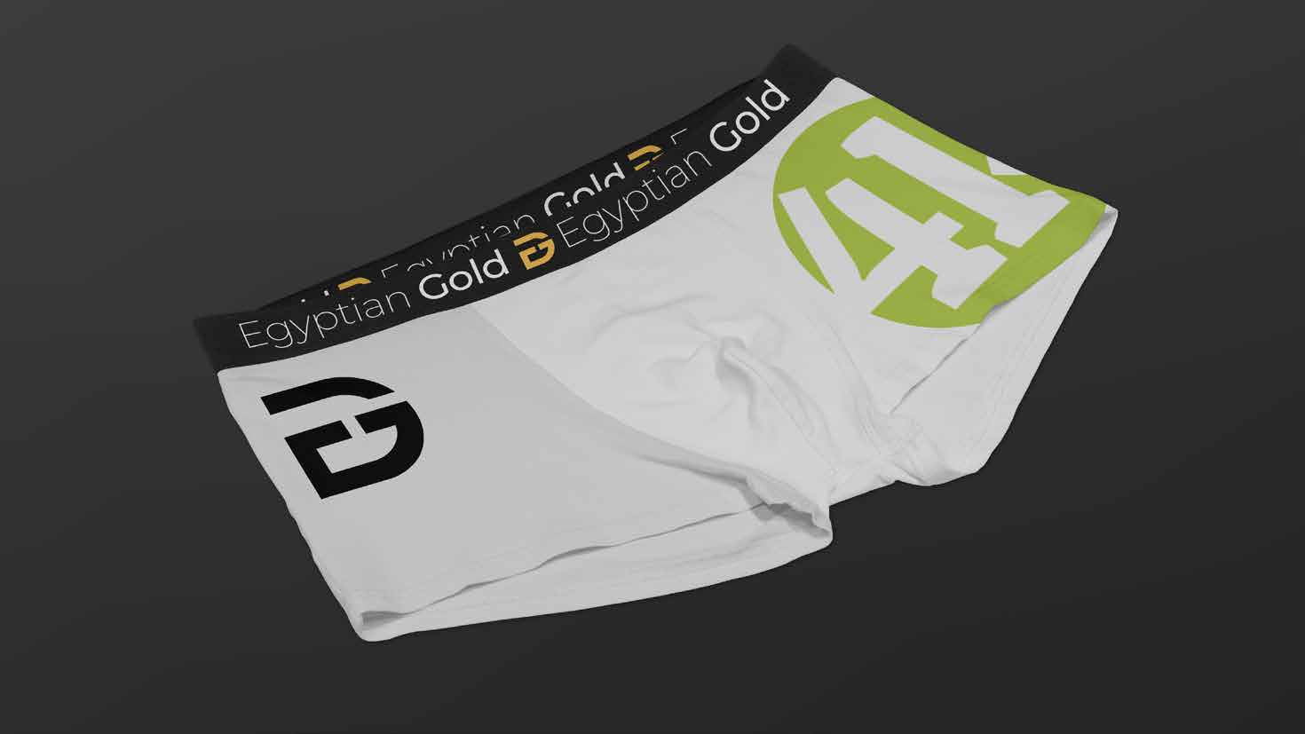 presentathion logo copy (1).pdf-image-007